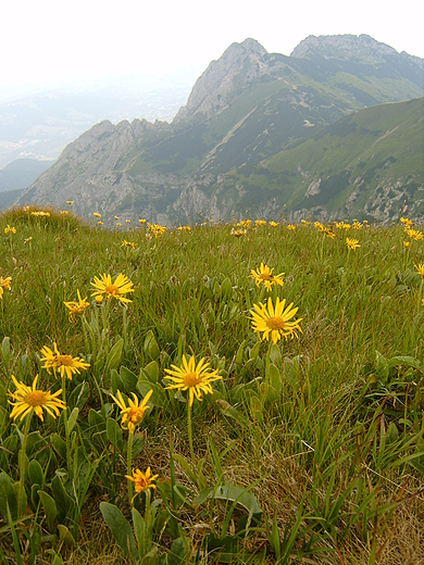 Giewont inaczej...