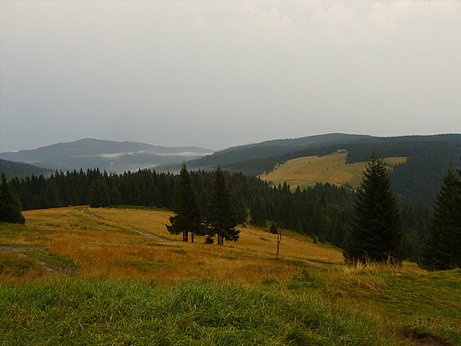 Widok z Turbacza na Mogielic i Hal Dug