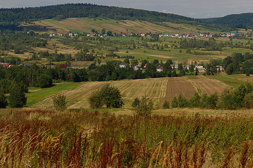 Widok na Pasmo Klonowskie.