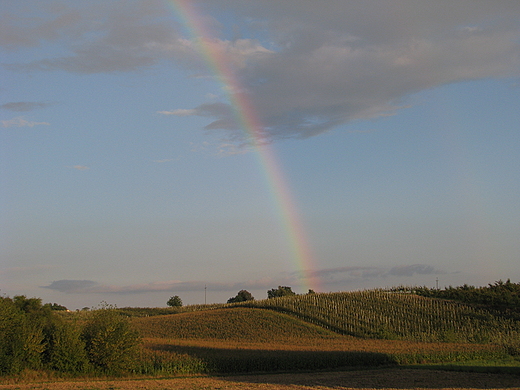 witokrzyskie pola