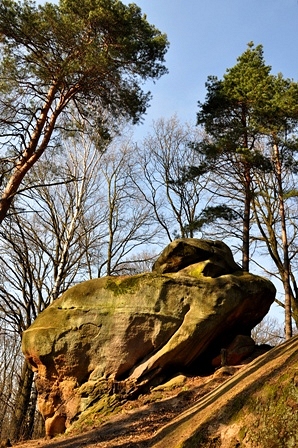 Skalne miasto - Cikowice, woj. maopolskie