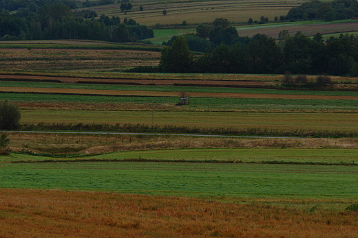 Widok ze Strnej