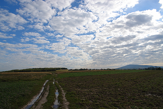 Przez krajeskie pola