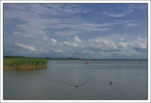 Dbki - fragment jeziora Bukowo