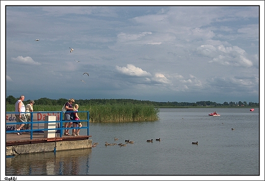 Dąbki - jezioro Bukowo