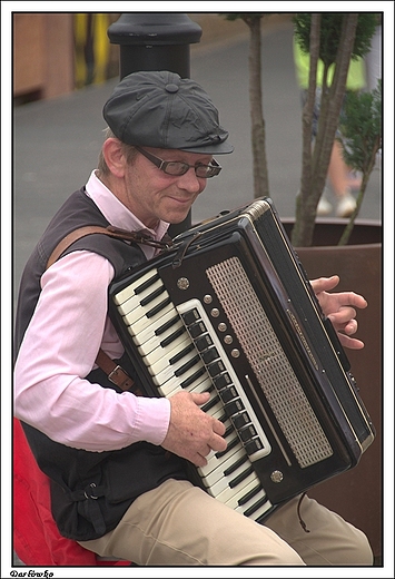 Darwko - uliczny akordeonista