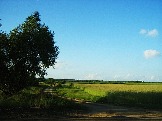 W drodze z Niemirowa do Mielnika.