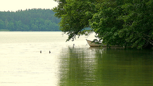 Cicha zatoczka na jeziorze Pluszne