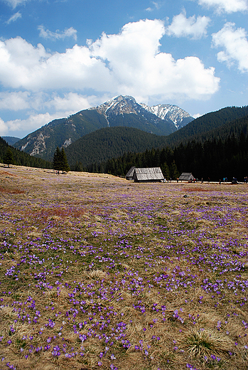 Polana Chochoowska.