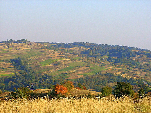 Jesienna panorama