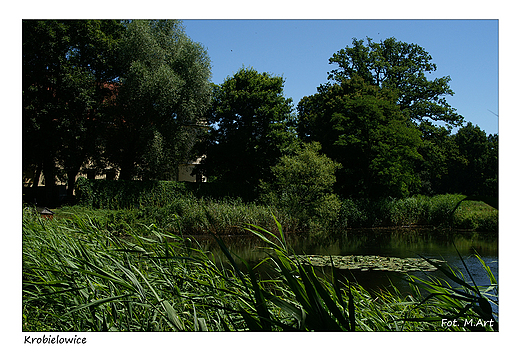 Krobielowice - Paac Blcherw: park