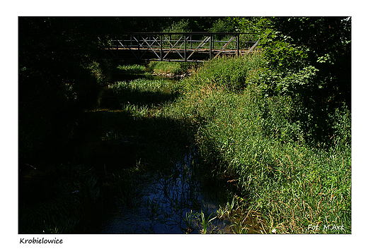 Krobielowice - Paac Blcherw: park