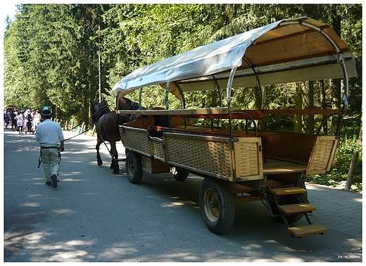 rodek masowego transportu na Morskie Oko.