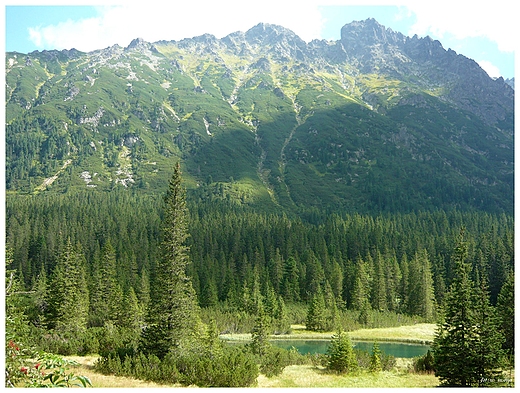 Tatry w drodze na Morskie Oko.