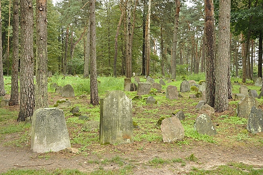 cmentarz muzumaski, Kruszyniany