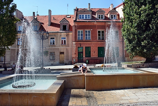 May rynek