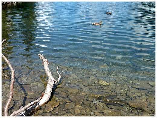 Morskie Oko, Tatry.