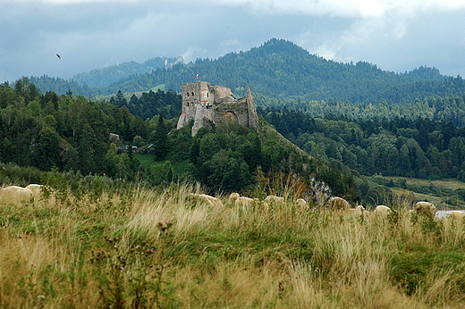 Czorsztyn - zamek