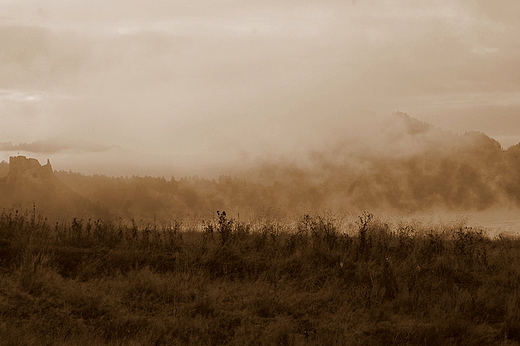 Czorsztyn - poranne mgy