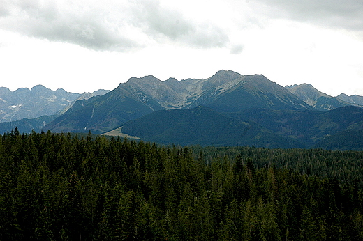 Bukowina Tatrzaska - panorama Tatr z Godwki