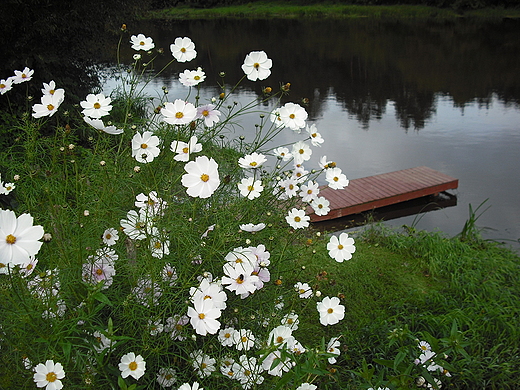 Kosewko. Nad Wkr.