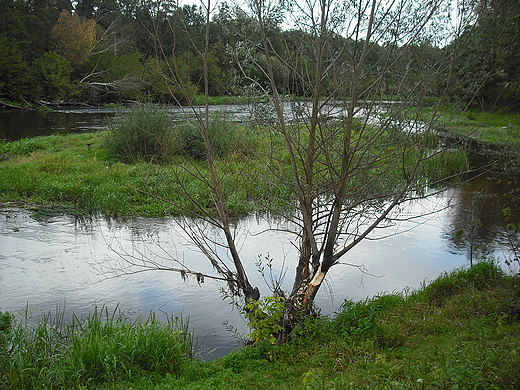 Szczypiorno. Nad Wkr.