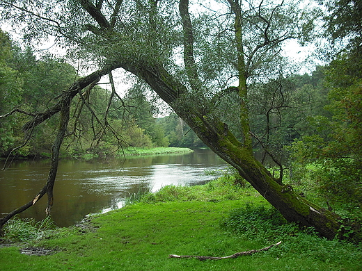 Szczypiorno. Nad Wkr.