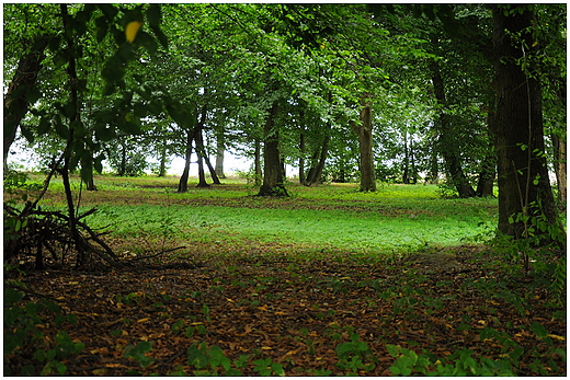 Zaniedbany park. Nieciszewo