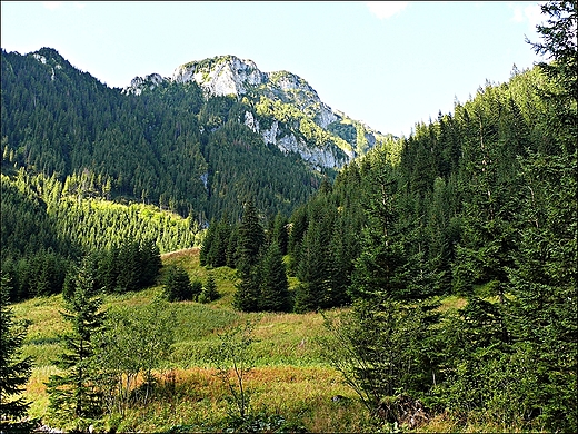 Widok z Doliny Kocieliskiej.