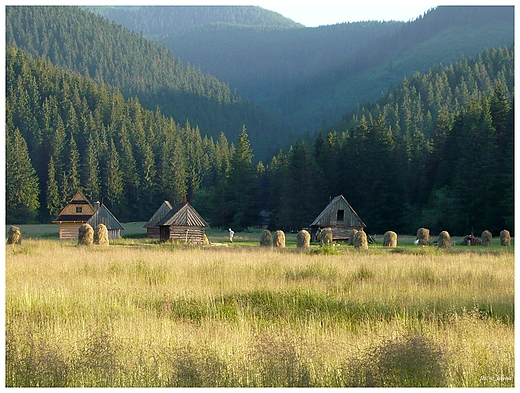 na zakopianskich polach