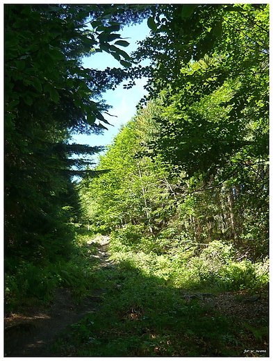 Szlak na Pilsko, Beskid ywiecki.