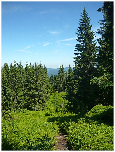 Szlak na Pilsko, Beskid ywiecki.