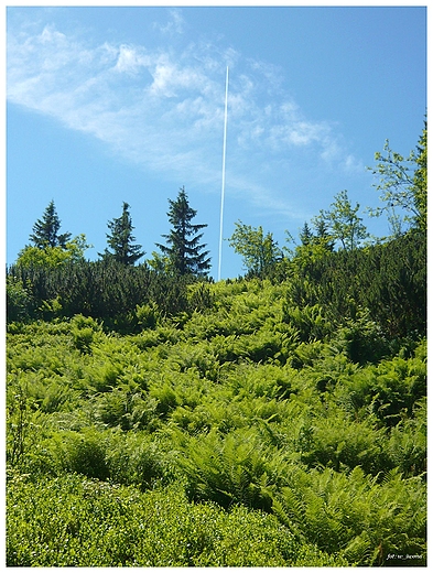 Szlak na Pilsko, Beskid ywiecki.