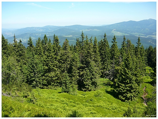 Szlak na Pilsko, Beskid ywiecki.