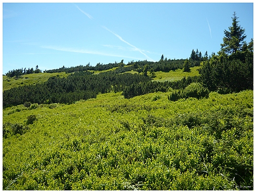 Szlak na Pilsko, Beskid ywiecki.