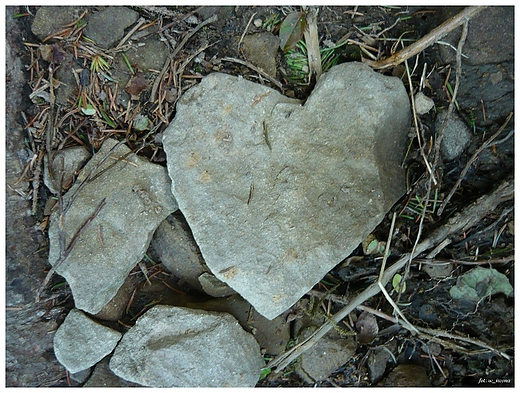 Serce z kamienia na szlaku zgubione, Beskid ywiecki.