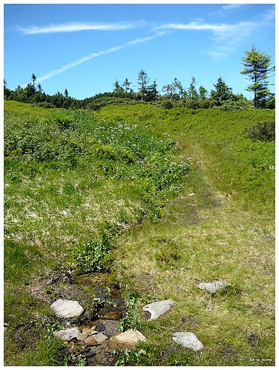 Szlak na Pilsko, Beskid ywiecki.