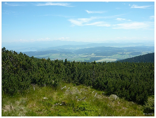 Widok ze szczytu Pilsko, Beskid ywiecki.