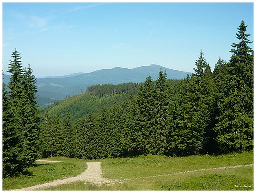 Babia Gra- Widok z Hali Miziowej, Pilsko.