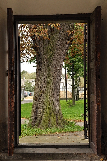 sanktuarium w Miedniewicach