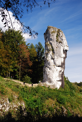 Maczuga Herkulesa.