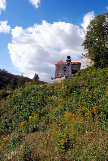 Zamek w Pieskowej Skale widziany spod Maczugi Herkulesa.