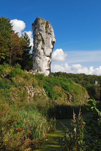 Maczuga Herkulesa.