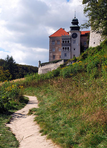 Pieskowa Skaa- zamek.