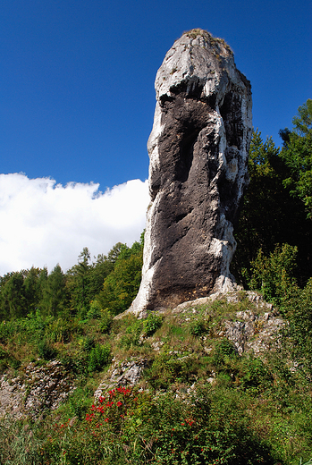 Iglica skalna - Maczuga Herkulesa.