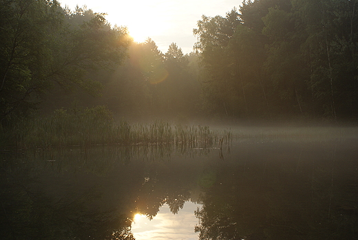 Poranek nad Dolin abnika