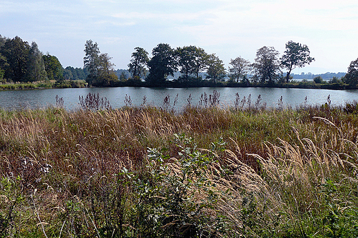 Panorama okolic Zabrzega.