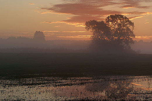 Magia Podlasia, okolice wsi Zlotoria