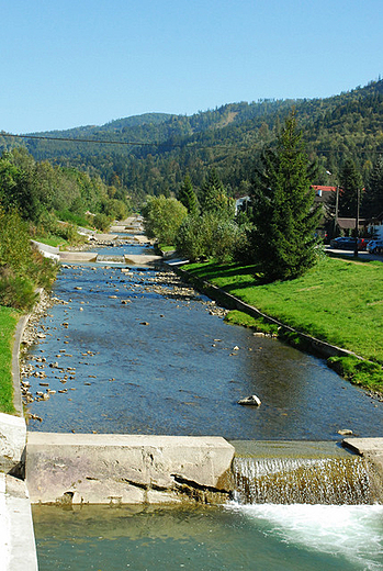 Rzeka Brynica pynca przez Brenn