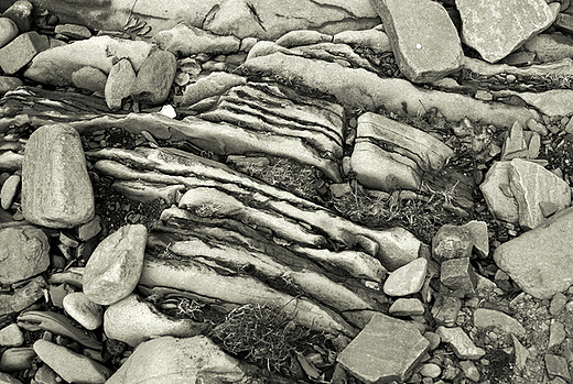 Kamienie w potoku Hołcyna